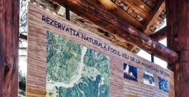 Rezervația-naturală Focul Viu de la Andreiasu de Jos